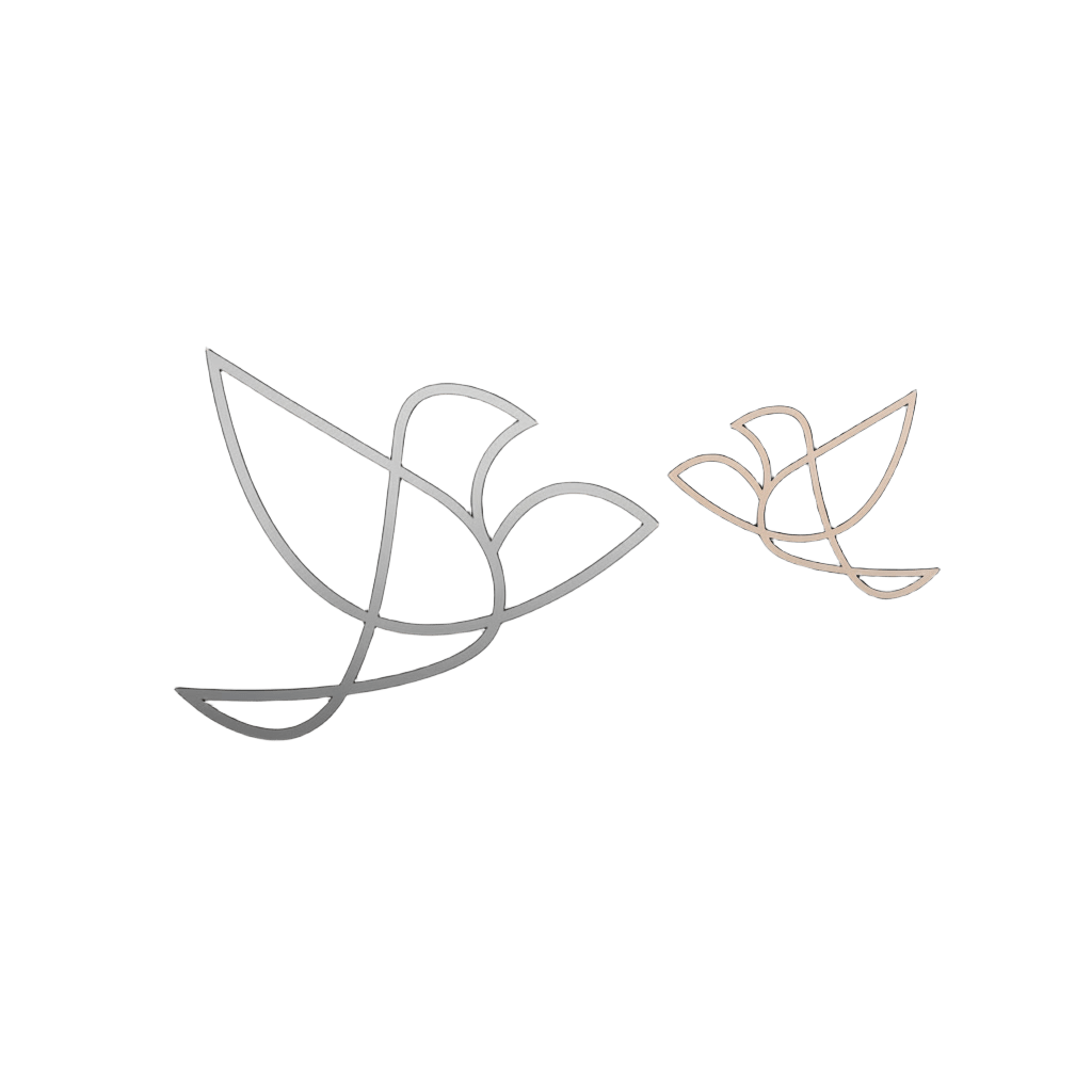 Identidade visual Anny Assis